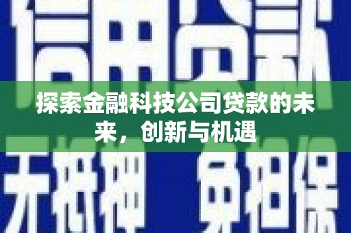 漯河探索金融科技公司贷款的未来，创新与机遇