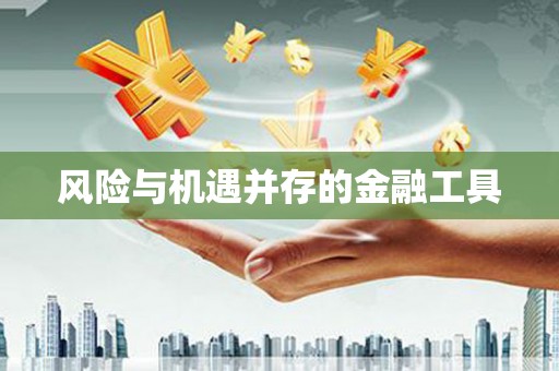 宝应县风险与机遇并存的金融工具